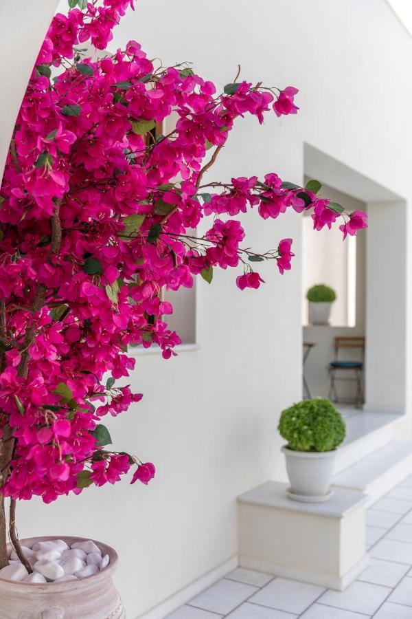 Apartament 100 Steps - Harmony Naxos City Zewnętrze zdjęcie
